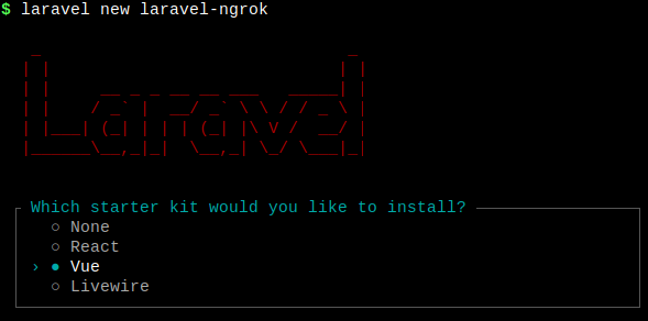laravel new inertia vue project