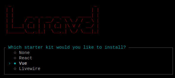 laravel new inertia vue project